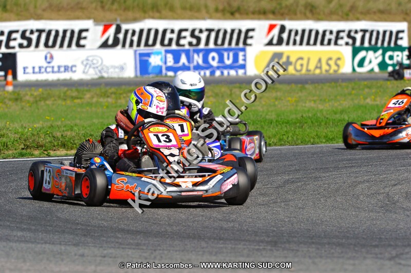 DSC_ (1155).jpg